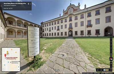 Museo di Storia Naturale - Calci (PI)